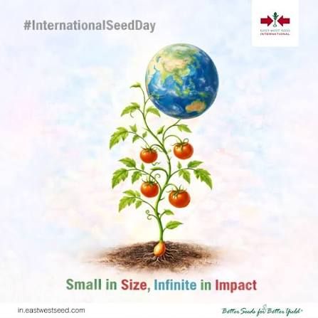 Smaller in size, bigger in impact